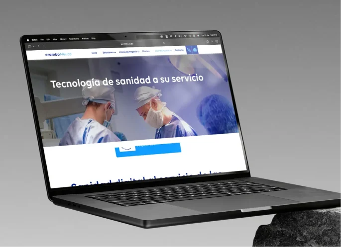 CMS & WordPress Development